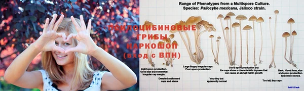 соль ск Коряжма
