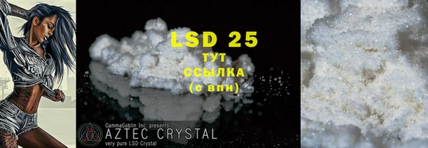 PSILOCYBIN Костерёво