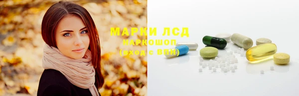 соль ск Коряжма