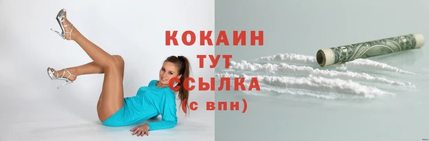 PSILOCYBIN Костерёво