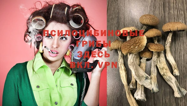 соль ск Коряжма