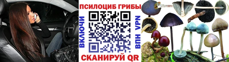 Купить  Орск  Галлюциногенные грибы Psilocybe 